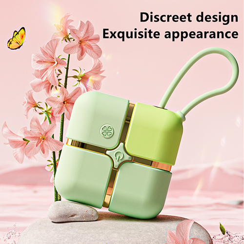 Sensatease - Exquisite Box 2-in-1 Clit Sucker With Bullet Vibrator